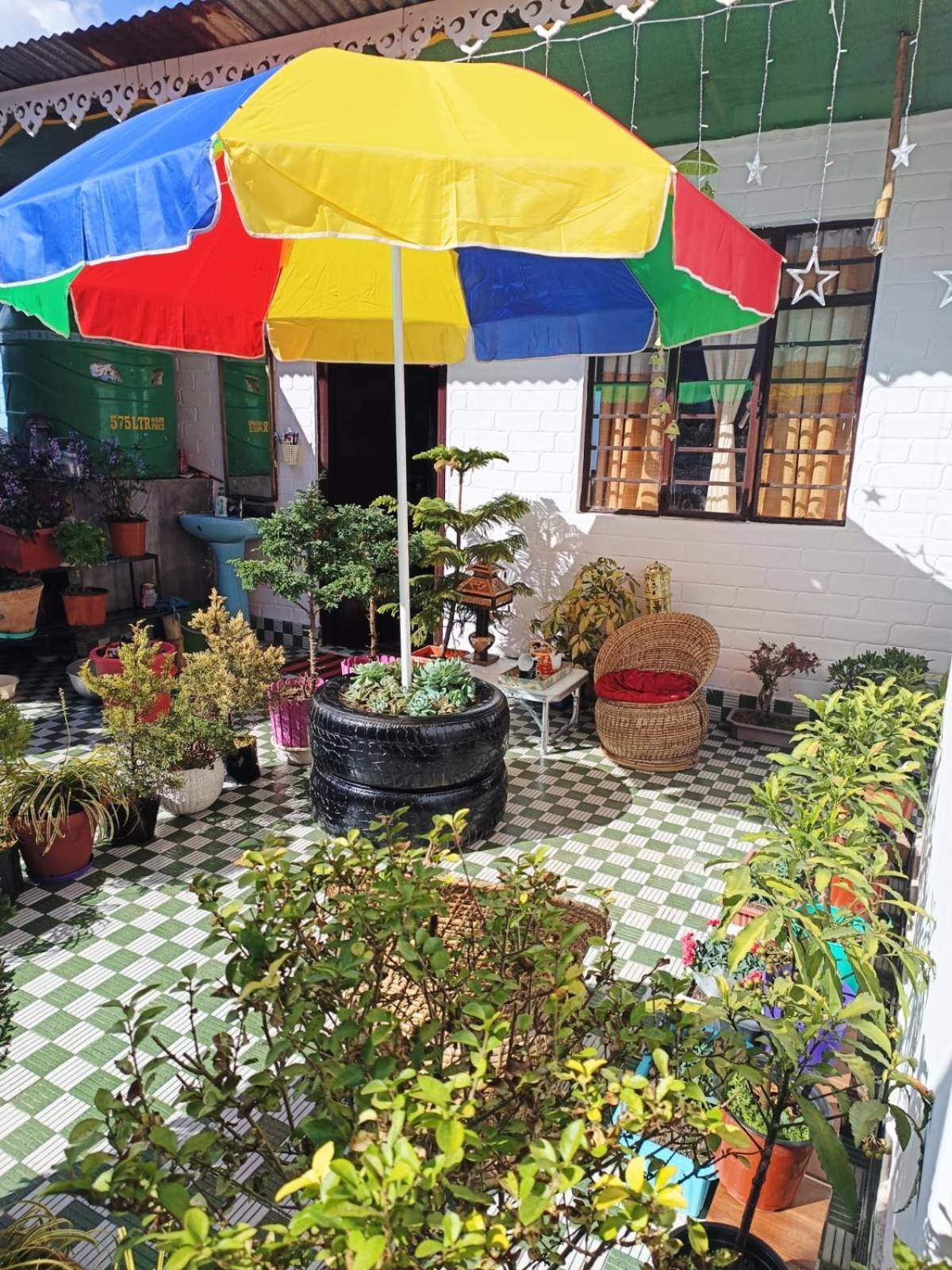 The Sunset Nest Offbeat Homestay Darjeeling  Dış mekan fotoğraf
