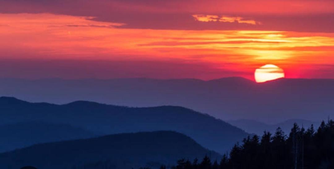 The Sunset Nest Offbeat Homestay Darjeeling  Dış mekan fotoğraf