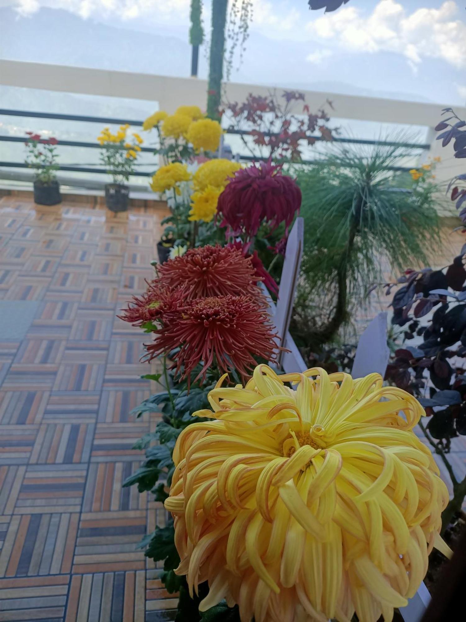 The Sunset Nest Offbeat Homestay Darjeeling  Dış mekan fotoğraf